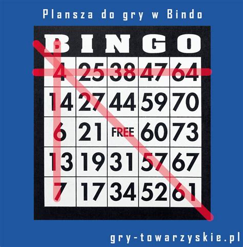 Bingo Karta.
